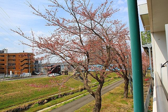 お部屋から花見ができるお部屋は存在します! お部屋から花見ができるお部屋は存在します!