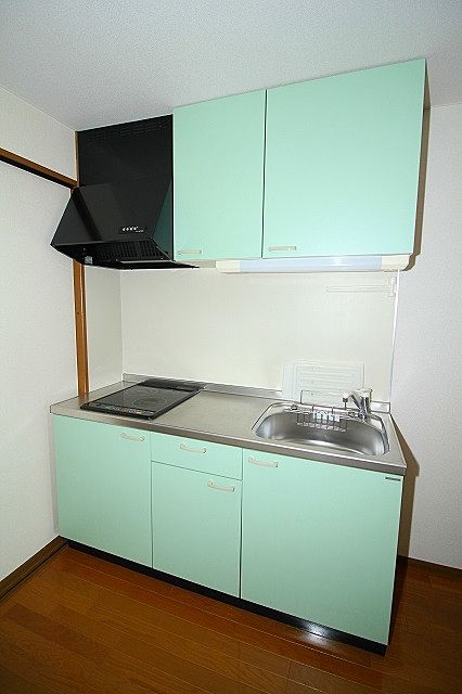 システムキッチン HIクッキングヒーター付き