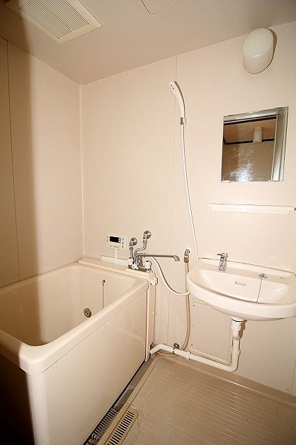 洗面ボールや鏡付き 洗面ボールや鏡付き
