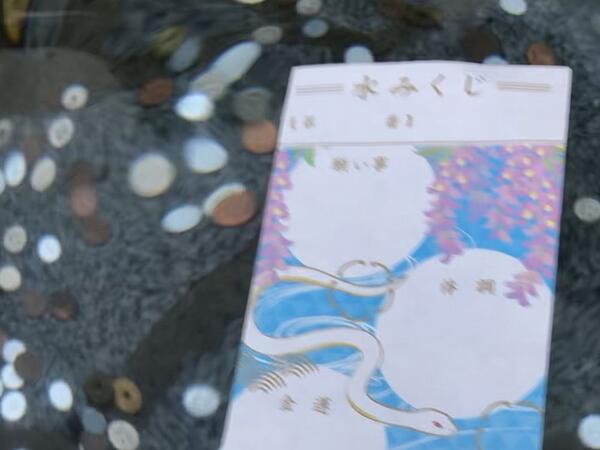 金蛇水神社の水みくじ。濡らすと神様のお言葉が浮かんできます。さて、運勢は…?