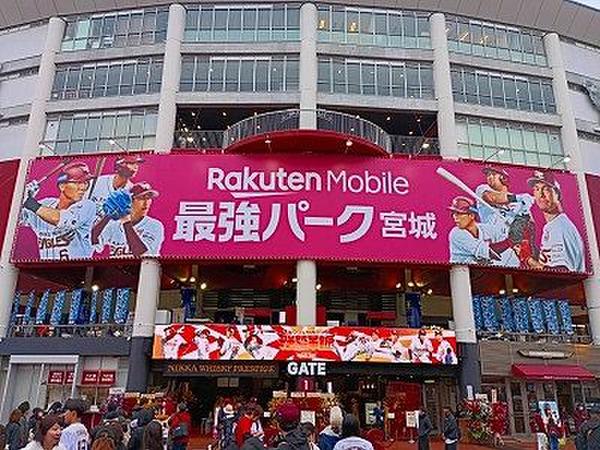 ファンクラブ入りました。がんばれー!